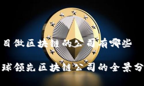 项目做区块链的公司有哪些

全球领先区块链公司的全景分析