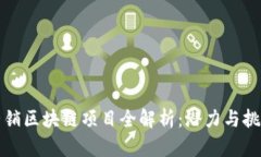 石城营销区块链项目全解析：潜力与挑战并存