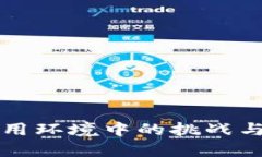 区块链应用环境中的挑战与解决方案