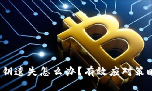 :tpwallet私钥遗失怎么办？有效应对策略与复原指南