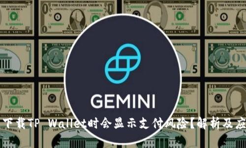 为什么下载TP Wallet时会显示支付风险？解析及应对方案