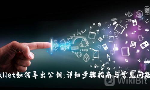 tpwallet如何导出公钥：详细步骤指南与常见问题解析