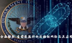 全面解析：当前最流行的区块链网络及其应用