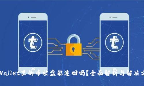 TPWallet里的币被盗能追回吗？全面解析与解决方案