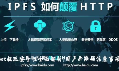 TPWallet提现安全性全面解析：用户必知的注意事项与指南