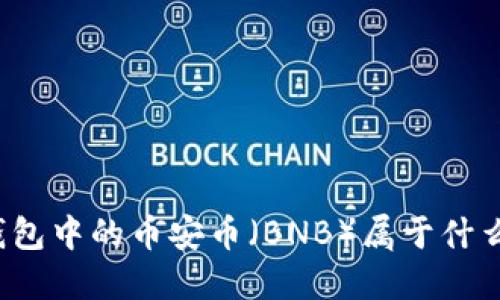 TP冷钱包中的币安币（BNB）属于什么网络？