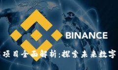 区块链技术项目全面解析