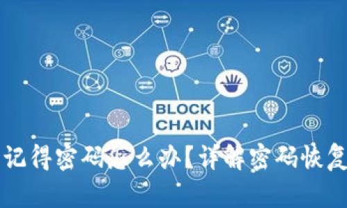 TPWallet不记得密码怎么办?详解密码恢复与安全策略