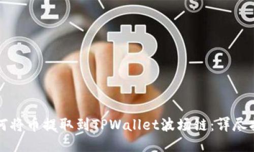 如何将币提取到TPWallet波场链:详尽指南