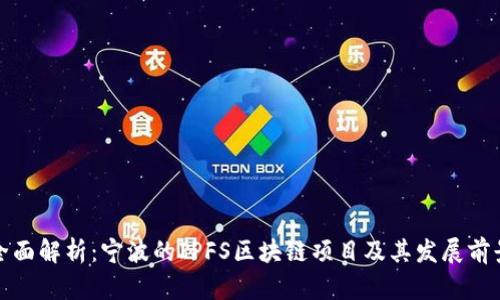 全面解析:宁波的IPFS区块链项目及其发展前景