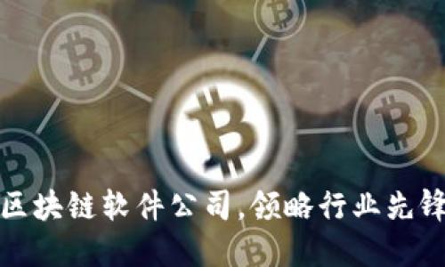 : 了解区块链软件公司，领略行业先锋的风采