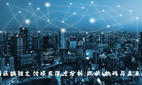 中国区块链支付项目深度分析:现状、挑战与未来趋势
