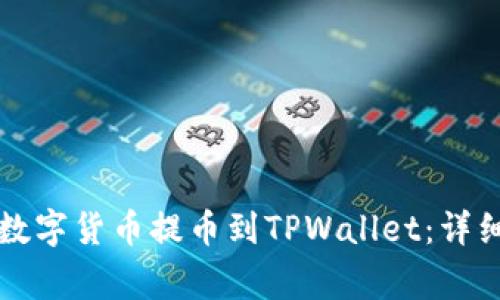 如何将善盾数字货币提币到TPWallet:详细步骤与指南