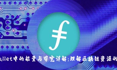 tpwallet中的能量与带宽详解:理解区块链资源的使用