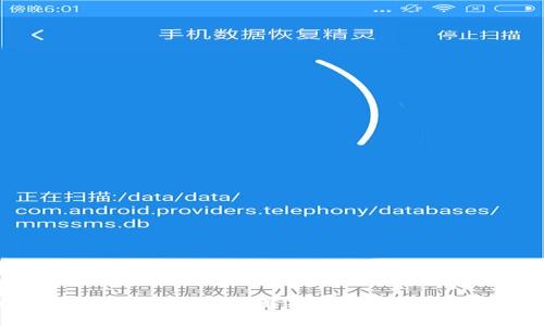 TPWallet 169版本全面解析:功能、更新与用户体验