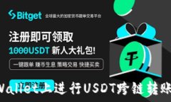   如何在TPWallet上进行USD