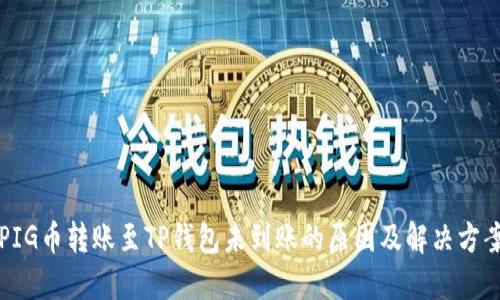 PIG币转账至TP钱包未到账的原因及解决方案