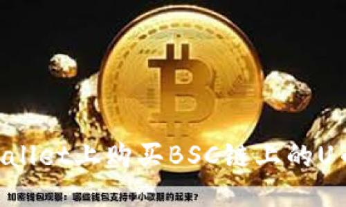 如何在TPWallet上购买BSC链上的U币:全面指南
