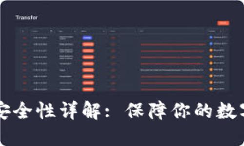 TPWallet安全性详解: 保障你的数字资产安全