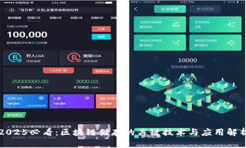 2025必看:区块链储存的关键技术与应用解析