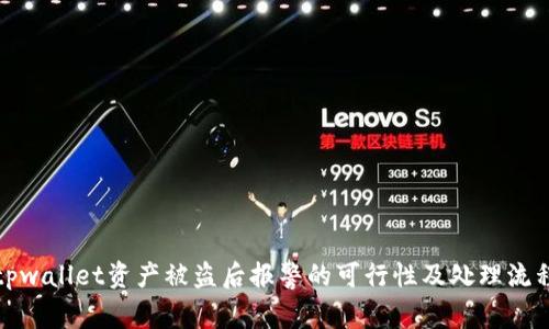 tpwallet资产被盗后报警的可行性及处理流程