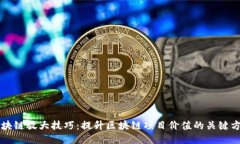 区块链放大技巧：提升区块链项目价值的关键方