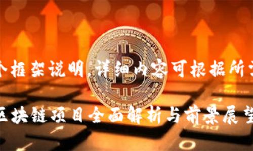注意：这是一个框架说明，详细内容可根据所需进一步扩展。

2023年国内区块链项目全面解析与前景展望
