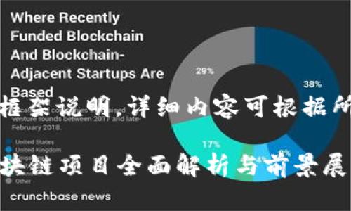 注意：这是一个框架说明，详细内容可根据所需进一步扩展。

2023年国内区块链项目全面解析与前景展望