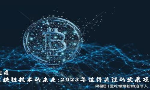 优质
区块链技术的未来：2023年值得关注的发展项目