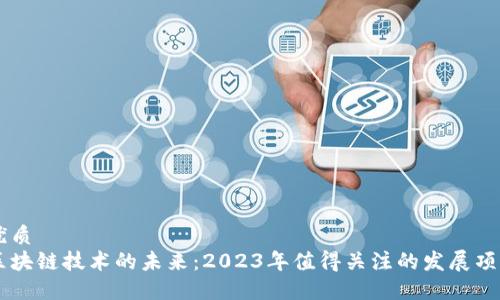 优质
区块链技术的未来：2023年值得关注的发展项目